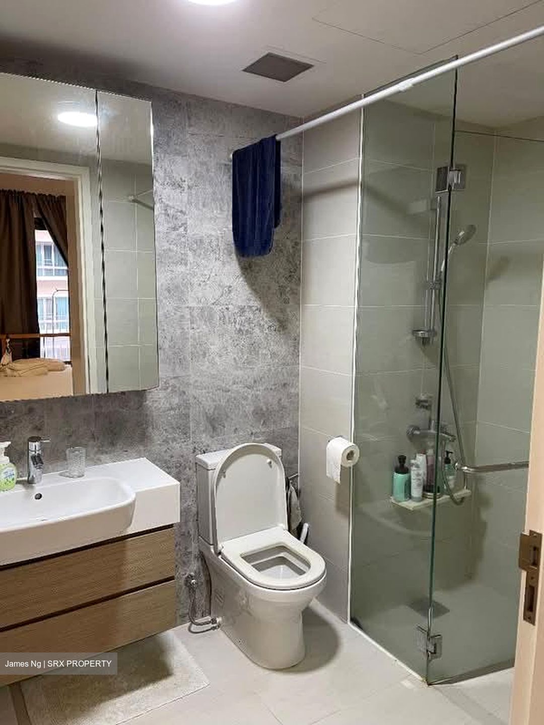 The Lakefront Residences (D22), Condominium #573070851